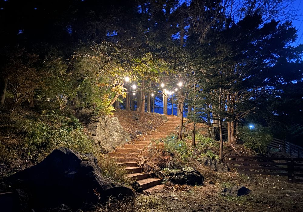 夜のライトアップ