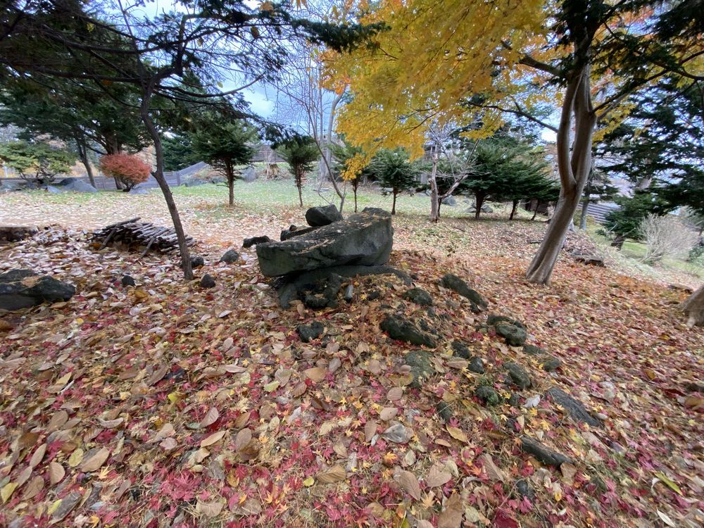 四季折々の風景が楽しめます<秋>