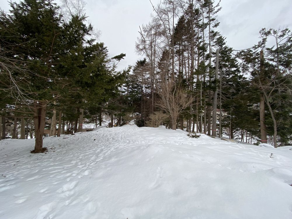 広い敷地で思いっきり雪遊び<冬>