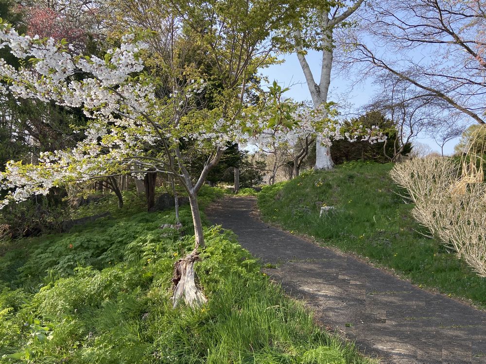 庭にあるお洒落な小道