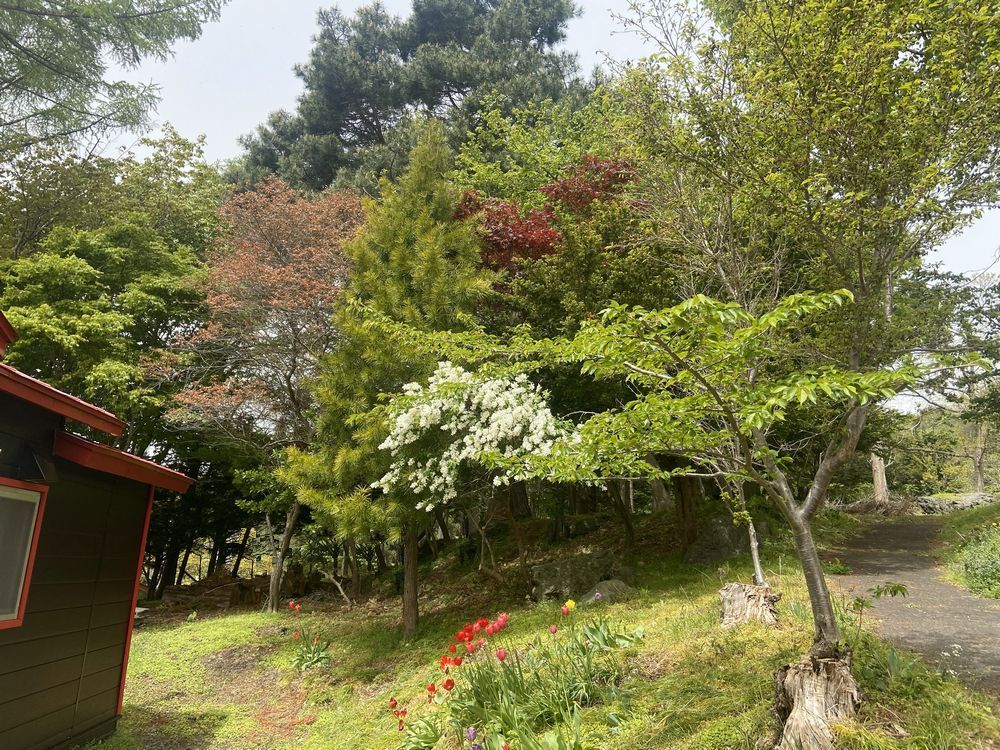 色とりどりの木々に囲まれた空間<春>