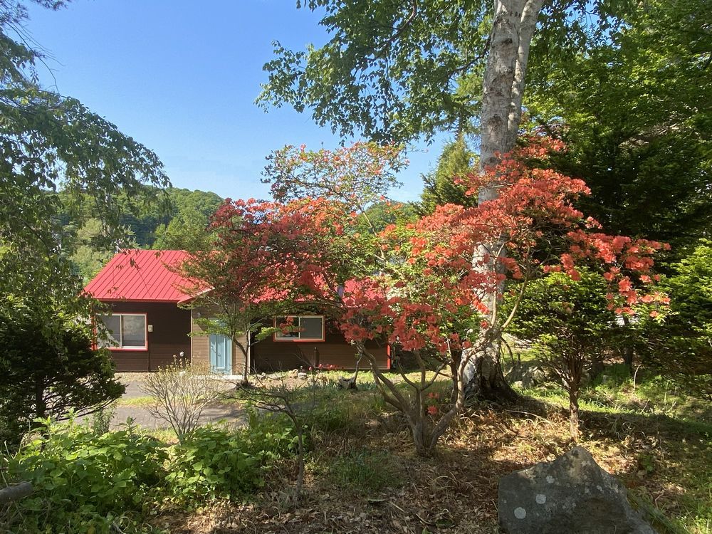 木々に囲まれたコテージ風一軒家